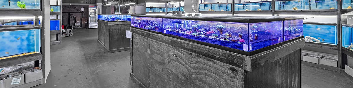 Front entrance of our newly reopened store