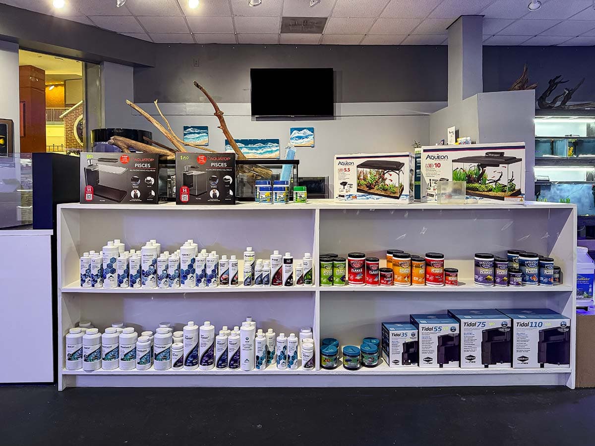 Front entrance of our newly reopened store