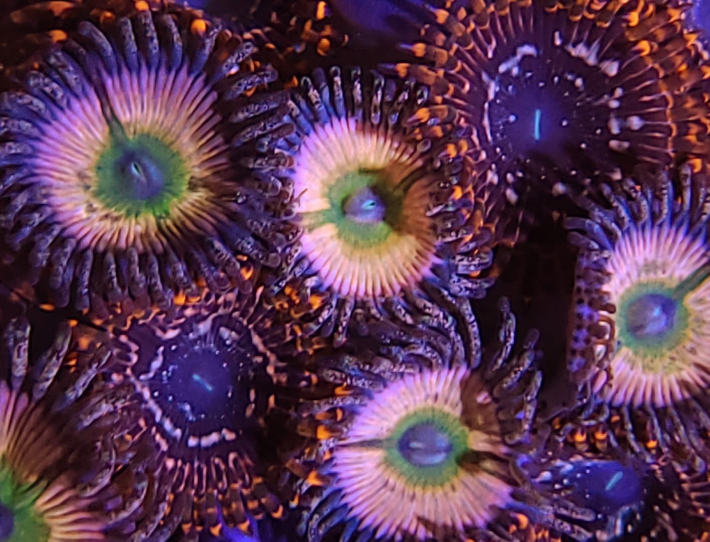 Front entrance of our newly reopened store