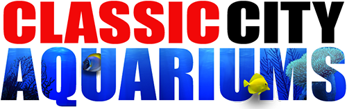 Classic City Aquariums logo